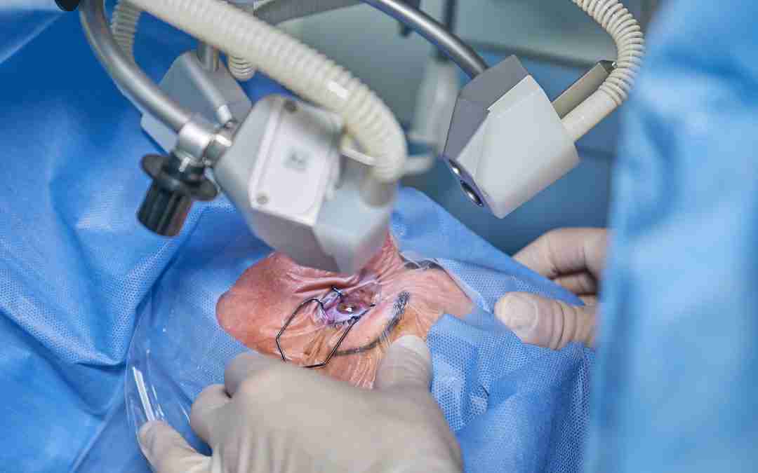 Chirurgia Robotica nelle Strutture Sanitarie Private